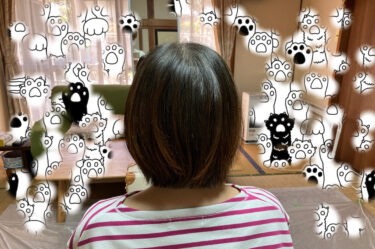 長野市のご自宅へ出張美容に伺いました